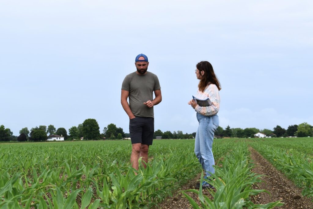 Suivi de parcelle d’essai chez Francis Tauzin, producteur pilote sur Bas-Mauco, par Camille Paquier, responsable transition agroécologique chez MAS Seeds.