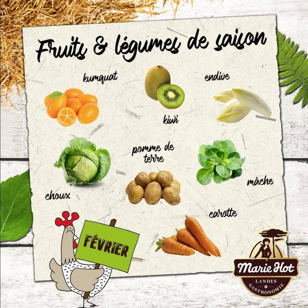 Actualité fruits et légumes février