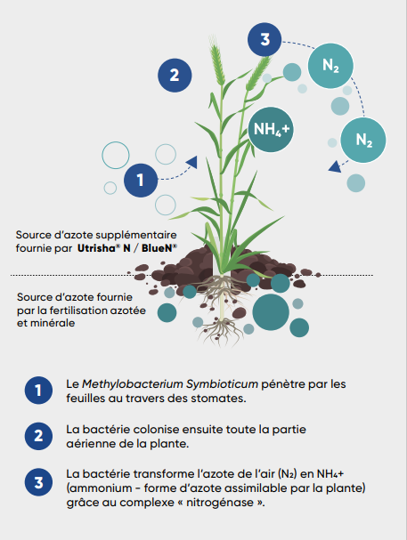 Biodiversité - innovations - Corteva