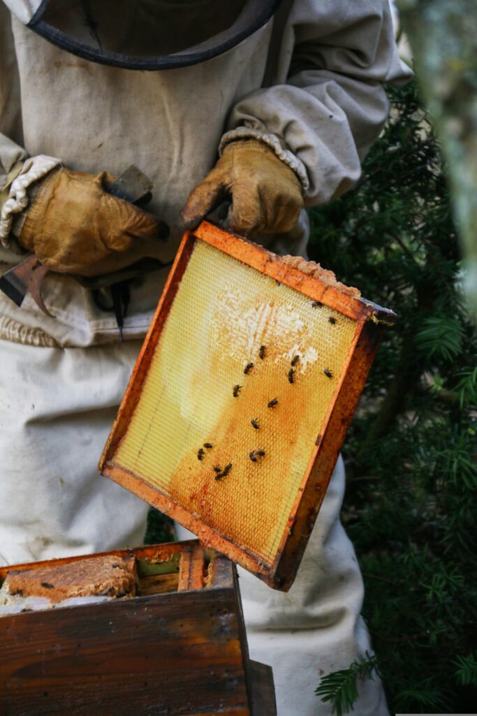 Biodiversité - apiculture - agriculture