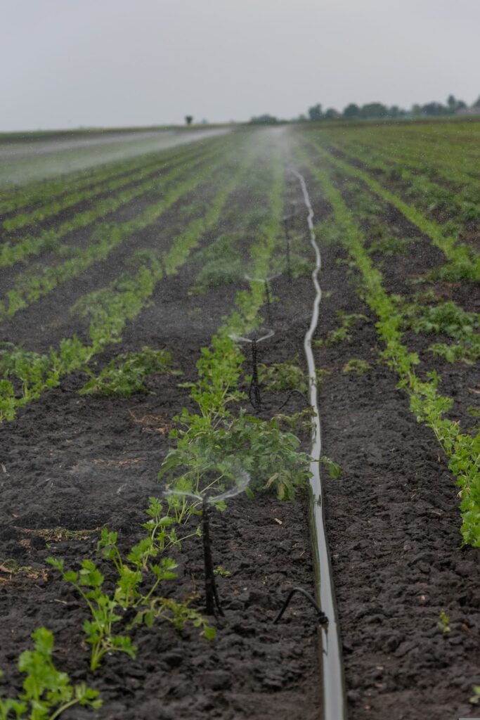 Biodiversité - irrigation