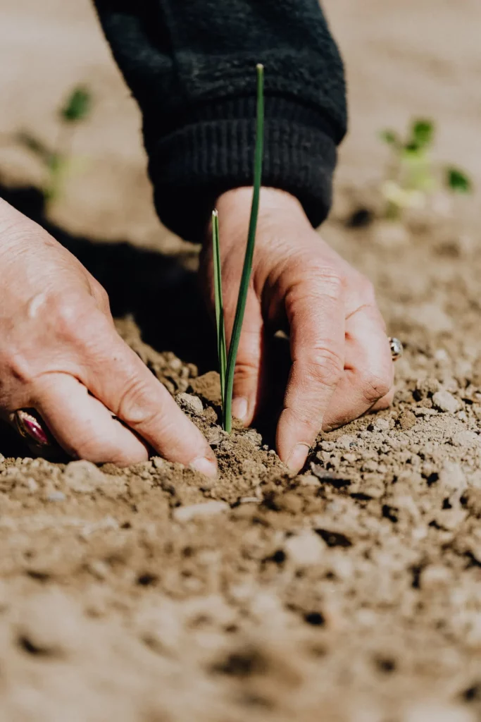 Olmix - innovation - ferme du futur - sol