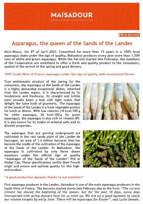 Asperge, la reine des Sables des Landes