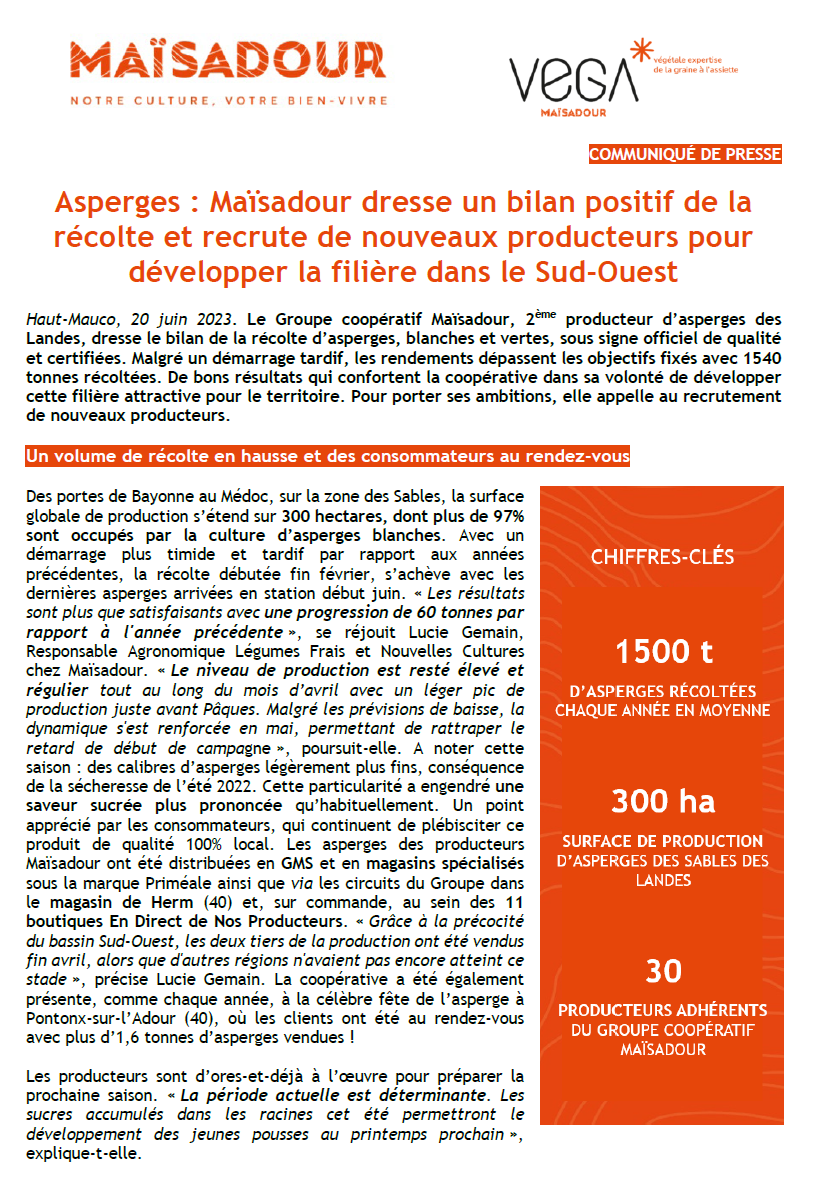 Asperges : Maïsadour dresse un bilan positif de la récolte et recrute de nouveaux producteurs pour développer la filière dans le Sud-Ouest