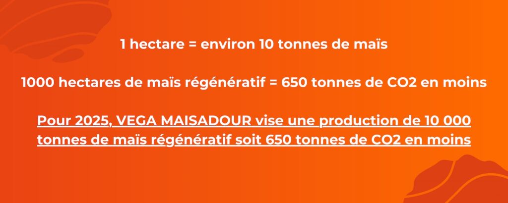 1 hectare = environ 10 tonnes de maïs 1000 hectares de maïs régénératif = 650 tonnes de CO2 en moins Pour 2025, VEGA MAISADOUR vise une production de 10 000 tonnes de maïs régénératif soit 650 tonnes de CO2 en moins