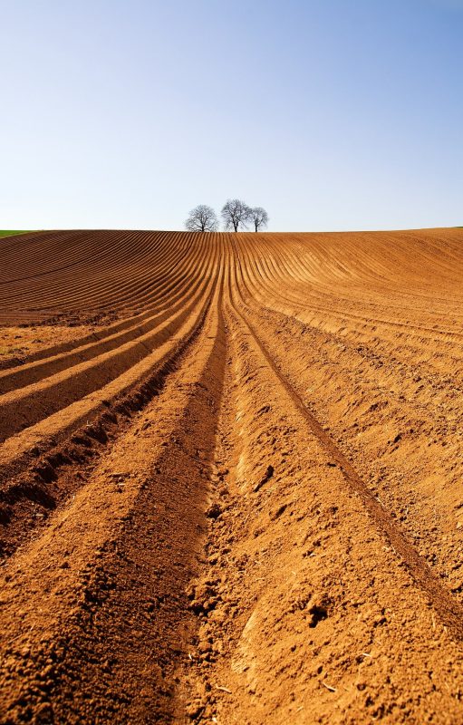 Soil - productivity